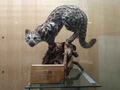 -陕西自然博物馆