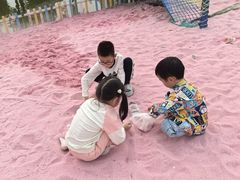 -苏州太湖西山岛开心农场