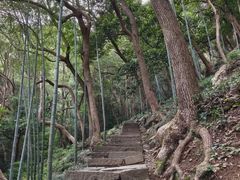 -严子陵钓台(富春江小三峡)