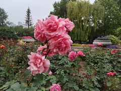 -睦南公园