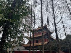 -成都动物园