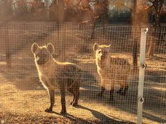 -秦皇岛野生动物园