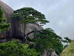 -黄山风景区