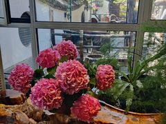 -慢丽江·云南野生菌土鸡锅(西山店)