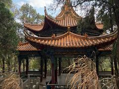 -昆明动物园