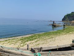 -养马岛旅游度假区