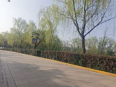 -西安汉城湖景区