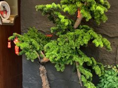 -俏东方·海味水饺·青岛菜(崂山店)