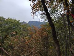 -秦岭终南山世界地质公园翠华山景区