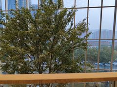 -CoCo都可(世茂广场店)