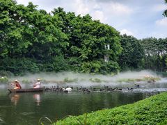 -广州长隆飞鸟乐园
