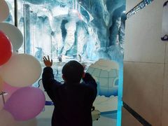 -帝企鹅自助餐厅•儿童岛•真企鹅(长隆企鹅酒店)