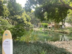 -成都市活水公园