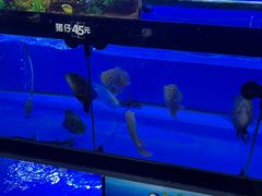 -万达广场(惠州大亚湾店)