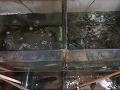 -双桥饭店(锦溪店)