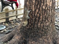 -西湖外事游船(湖滨二公园外事游船码头)