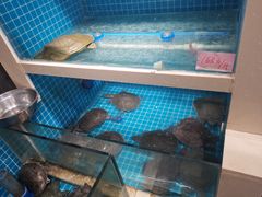 -元银甲·湖北地标美食(汉阳店)