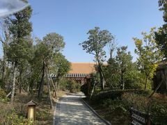 -宁波杭州湾海底温泉