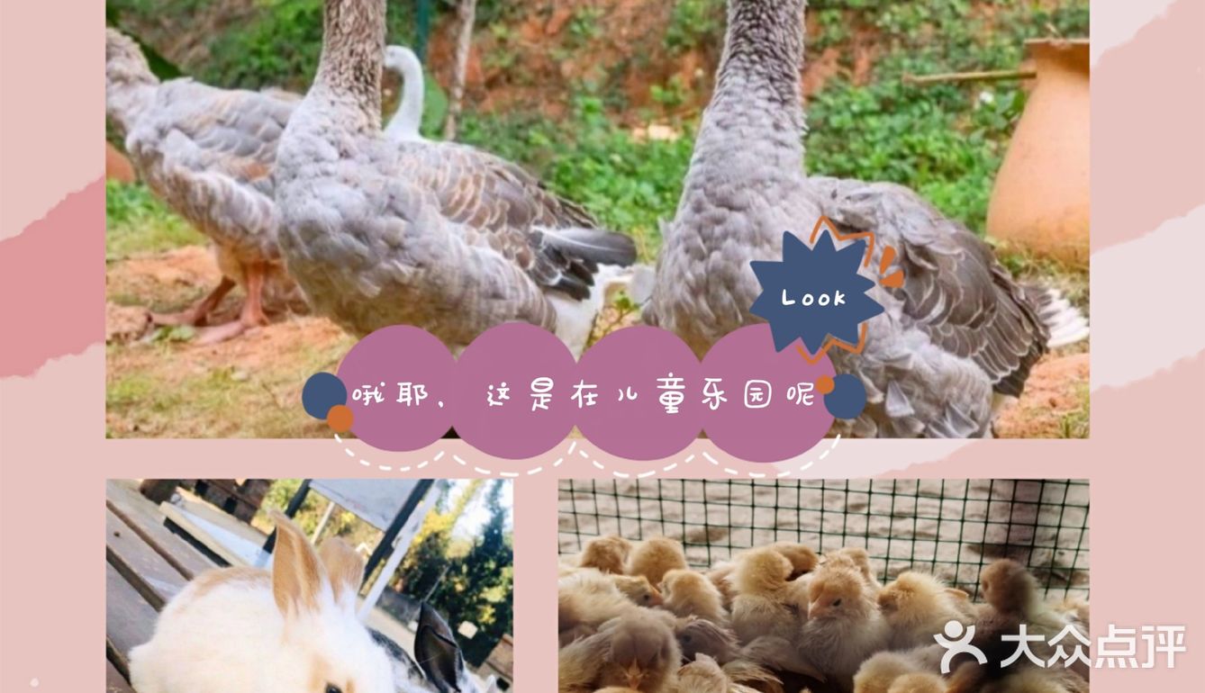 户外的，自然的儿童乐园