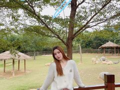 -泉州海丝野生动物世界