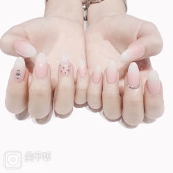 -恐龙·美甲美睫