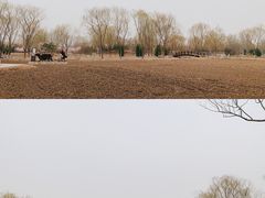 -北坞公园