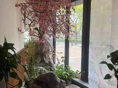 -金指缘足浴(望园路旗舰店)