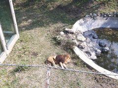 -石家庄市动物园