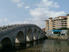 -万绿园
