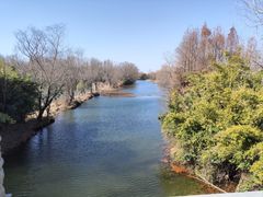 -溱湖国家湿地公园