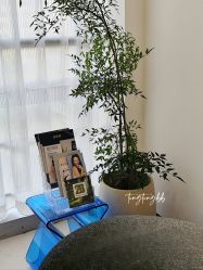 -JNK皮肤管理中心