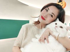 -飞行喵MR PILOT|猫舍·猫咖(静安大融城店)