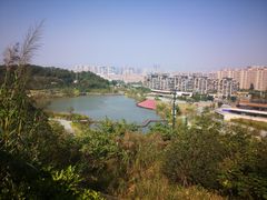 -飞凤山奥体公园