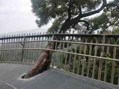 -福道