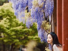 -南通濠河风景名胜区