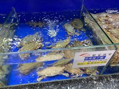 -船家渔(徐州北路店)