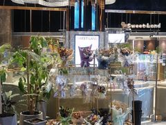 -上海金逸影城(静安大悦城店（原新恒星影城）)