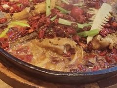 -老板恋上鱼(恒隆广场店)