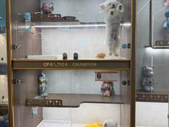 -翊宠yipet猫狗购宠庄园犬舍•猫舍