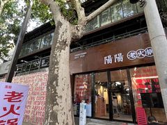 -阳阳老火锅(小南门店)