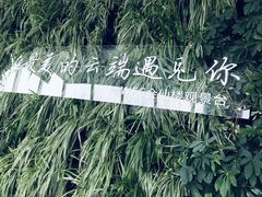 -WFC会仙楼观景台