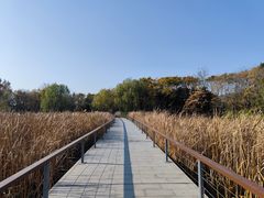 -长广溪湿地公园