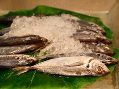 -马哥孛罗咖啡厅·Cafe Marco (厦门马哥孛罗东方大酒店)