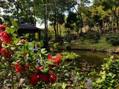 -深圳国际园林花卉博览园