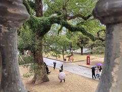 -蒋氏故居