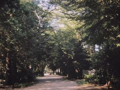 -三鹰之森吉卜力美术馆