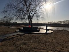 -大兴滨河森林公园