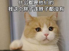 -湘府足浴水会·足疗按摩·理疗·住宿(紫舞公园店)