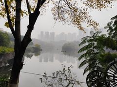 -重庆彩云湖湿地公园
