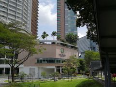 -新加坡柏薇罗切斯特酒店